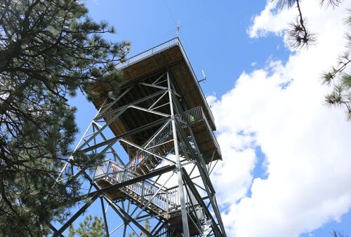 Scott Lookout Tower